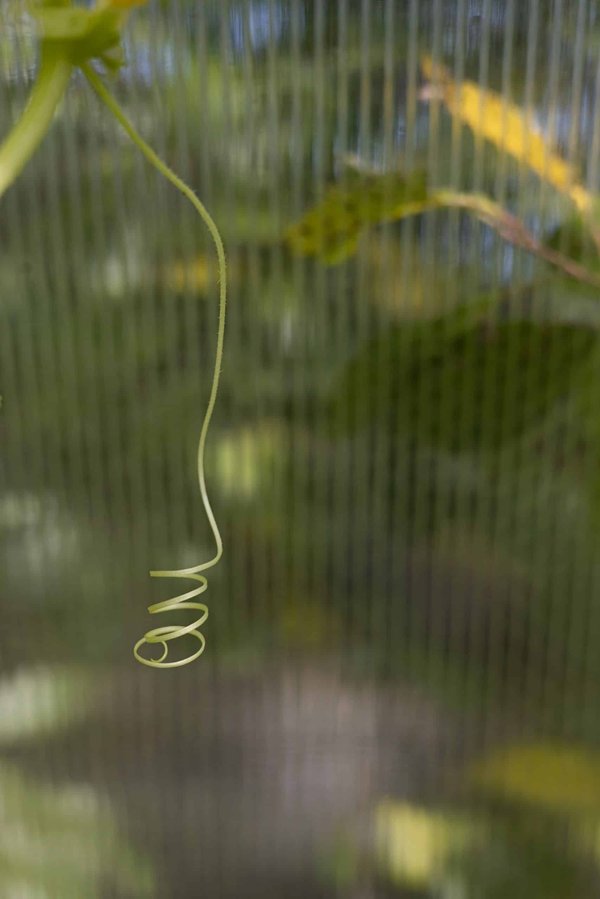 How Can Retailers Adapt to the Accelerating Shift Towards Mobile Shopping?